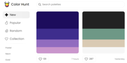 ../images/development-img/ColorHunt.png